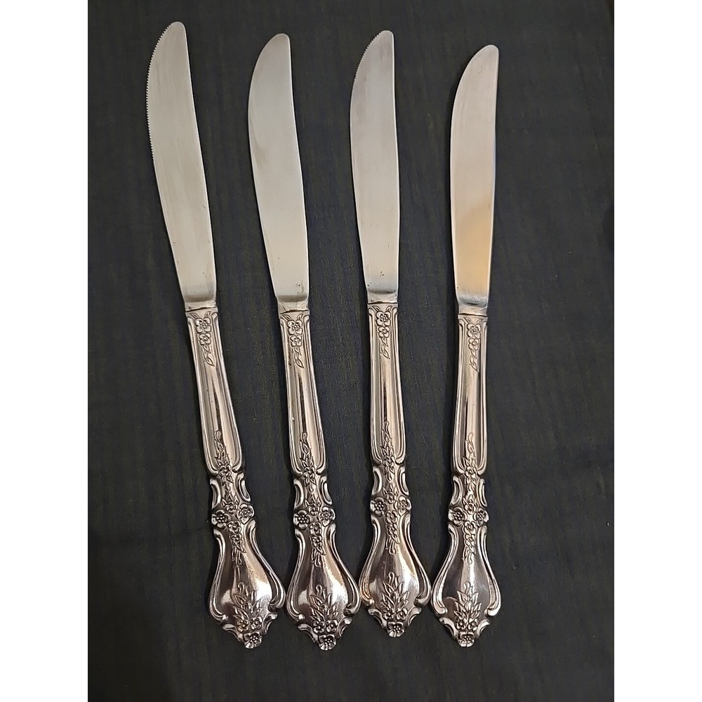 Set of 4  Kings Berry Gardendale Stainless - Dinner Knives - 9"